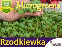 Microgreens - Rzodkiewka czerwona 5g