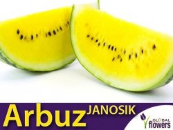 Arbuz Janosik Kawon Żółty (Citrullus vulgaris) nasiona 0,5g+0,25g