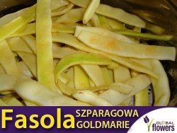 Fasola szparagowa MAMUT GOLDMARIE tyczna (Phaseolus v.) nasiona XL 100g