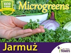 Microgreens - Jarmuż nis. zielony, kędzierzawy 3g