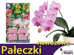 COMPO Pałeczki nawozowe do orchidei 20 szt