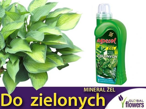 Agrecol Nawóz Mineral Żel do roślin zielonych 0,25l