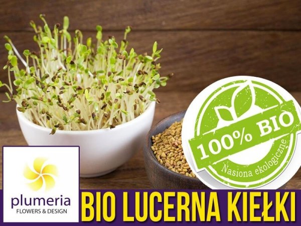 BIO Lucerna - nasiona na kiełki 20g