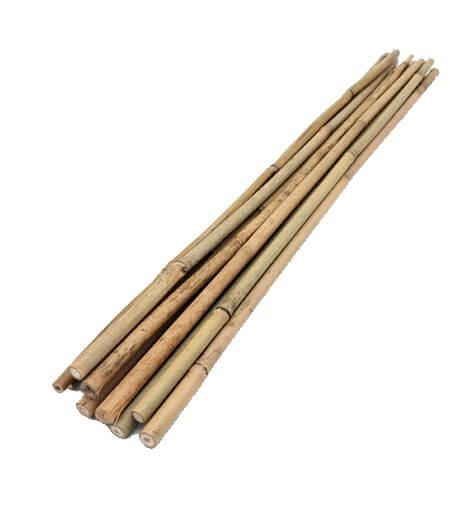 tyczki bambusowe podpory sadownicze 