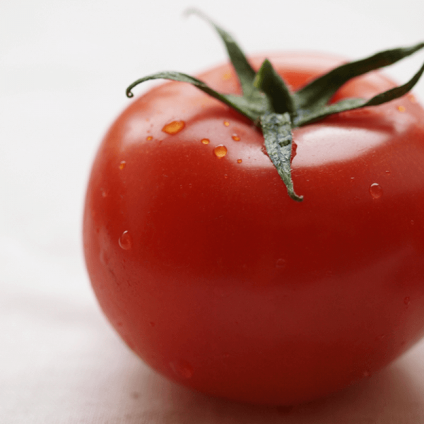 Sezon na pomidory