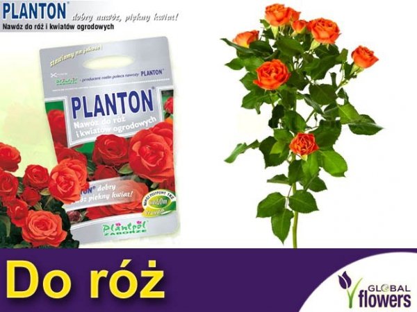 PLANTON® do róż i kwiatów ogrodowych 1kg
