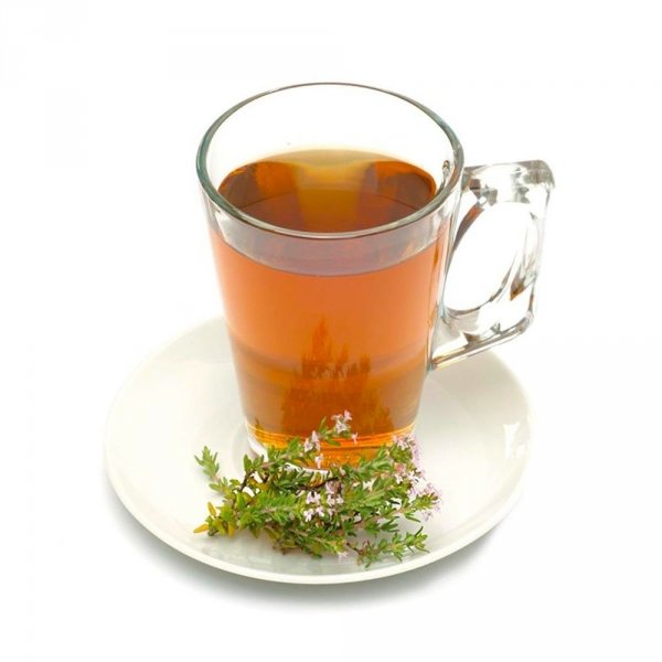 tymianek właściwy sadzonki herbata z tymiankiem