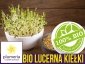 BIO Lucerna - nasiona na kiełki ekologiczne 20g 