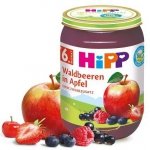 HIPP BIO Owoce Leśne z Jabłkiem Witaminy 190g 6m