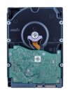 Dysk HDD WD Red Plus WD80EFPX (8 TB ; 3.5; 256 MB)