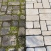 Płyn do usuwania mchu, glonów o zielonych nalotów Frischer 5l