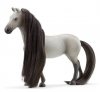Schleich Zestaw startowy figurki Sofia i Dusty