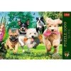 Trefl Puzzle 1000 elementów Premium Plus Tea Time Nadchodzą kłopoty!