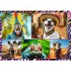 Trefl Puzzle 4x250 elementów Zabawne zwierzaki