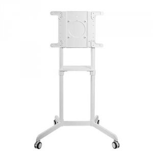 Stojak podłogowy NS-M1250WHITE Neomounts 37-70 70kg