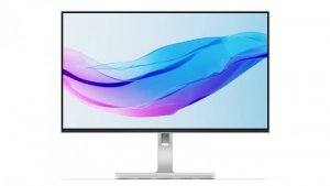 Lenovo L24m-4A 23.8FHD IPS 100Hz 250nits AG HDMI DP USB Cloud Grey