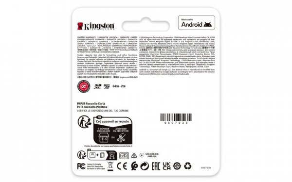 Karta pamięci Kingston Canvas Go Plus SDG4/256GB (256GB; Class U3, V30; Karta pamięci)