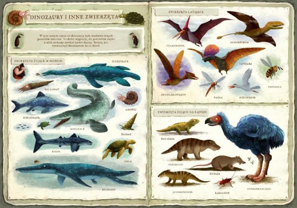 Nasza księgarnia Książeczka Opowiem ci, mamo, co robią dinozaury
