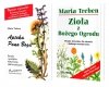 Apteka Pana Boga Zioła Z Bożego Ogrodu