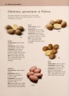 Przepyszne ziemniaki 222 tradycyjne i oryginalne przepisy