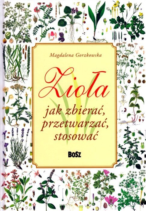 Wróćmy do ziół leczniczych / Zioła Jak zbierać przetwarzać stosować
