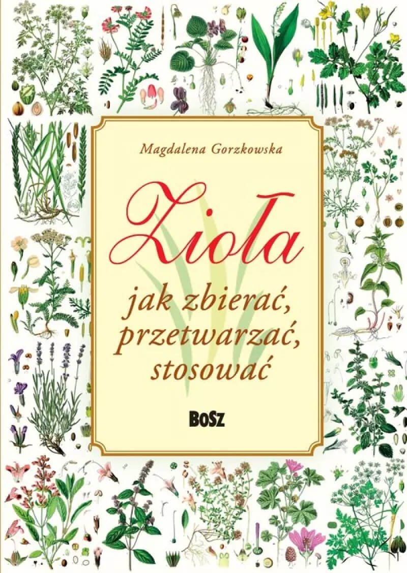Zioła Jak Zbierać