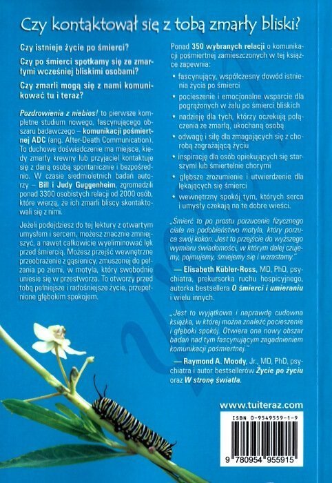 Pozdrowienia z niebios Nowe badania nad życiem po śmierci