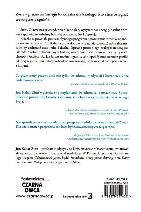 Życie piękna katastrofa
