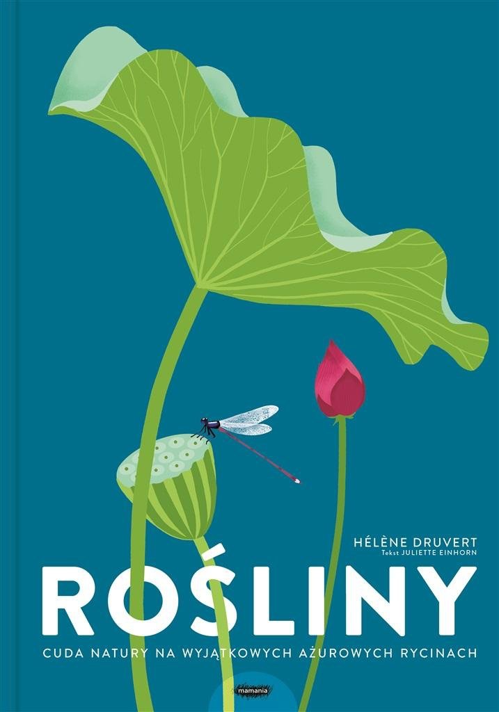 Rośliny. Cuda natury na wyjątkowych ażurowych ryci