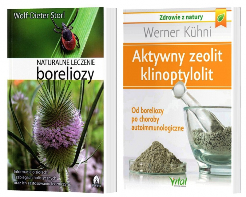 Klinoptylolit minerał dla zdrowia od boreliozy po choroby autoimmunologiczne