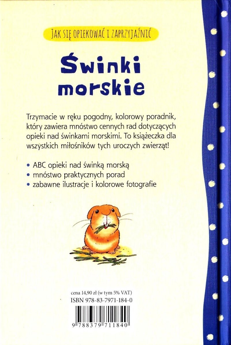 Świnki morskie Jak się opiekować i zaprzyjaźnić