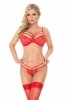 Janet 1873 - RED S