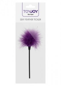 Sexy Feather Tickler Purple