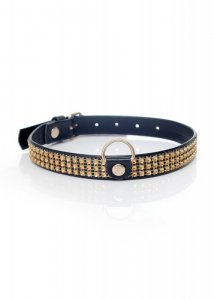 Fetish B - Series Collar with crystals 2 cm gold