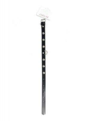 Fetish B - Series Collar with studs 2 cm