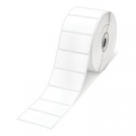 Epson rolka etykiet, normalny papier,matowy, 102x51mm 