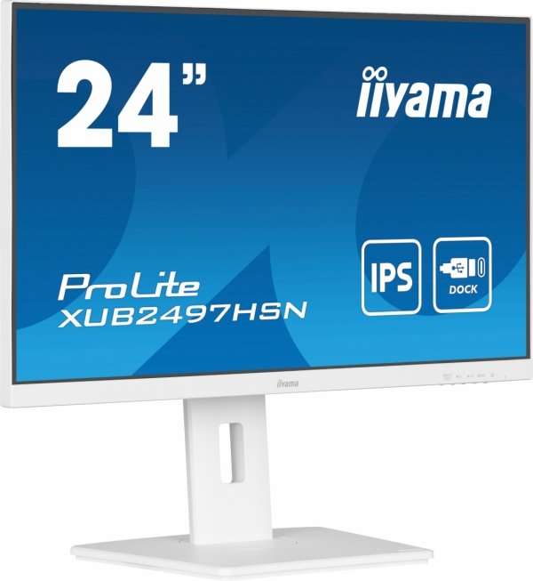 iiyama ProLite XUB2497HSN-W2