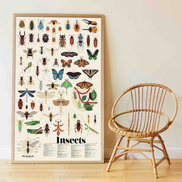 Poppik wielki plakat wyklejanka 44 naklejki owady
