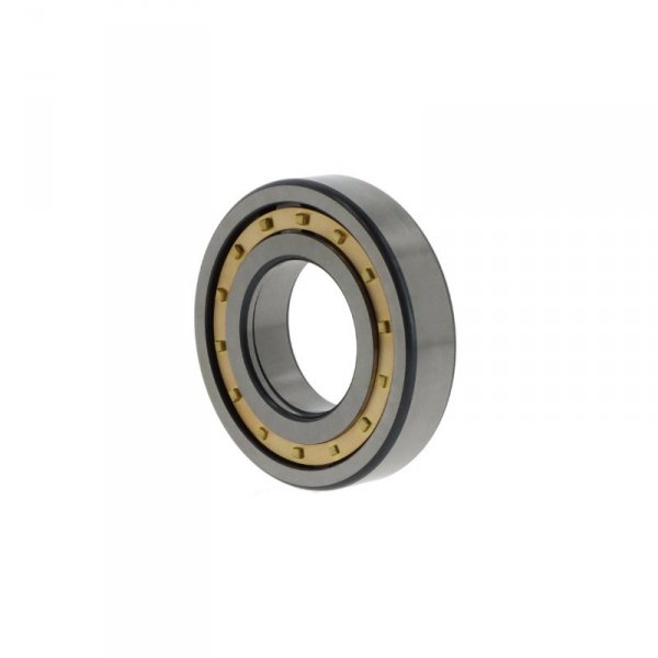 NUP307 -E-XL-M1-C3