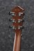 Ibanez AEG70-PIH Gitara elektroakustyczna