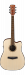 Ibanez PF 10CE-OPN Gitara elektroakustyczna