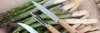 Zestaw noży OPINEL Essentials Natural Box Set 001300