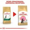 Royal Canin Maine Coon Kitten karma sucha dla kociąt, do 15 miesiąca, rasy maine coon 4kg