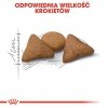 Royal Canin Indoor Apetite Control karma sucha dla kotów dorosłych, przebywających w domu, domagających się jedzenia 2kg