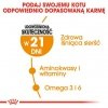 Royal Canin Hair&Skin Care karma sucha dla kotów dorosłych, lśniąca sierść i zdrowa skóra 400g
