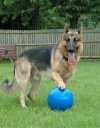 Boomer Ball M - 6 / 15cm niebieska