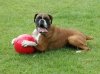 Boomer Ball L - 8 / 20cm czerwona