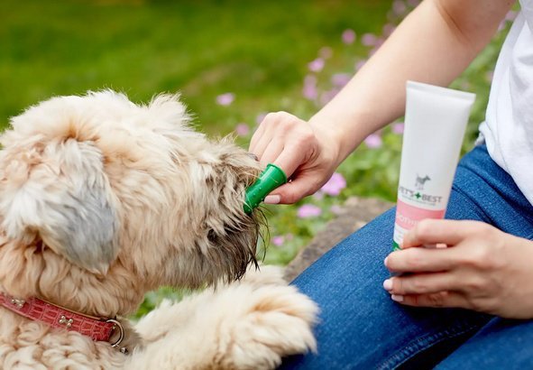 Vet&#039;s Best Dental żel + szczoteczka zestaw Puppy