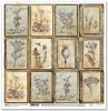 Papier für Scrapbooking SL1171