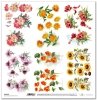 Papier für Scrapbooking SL1360